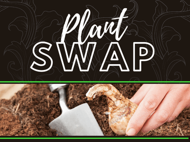 Plant Swap
